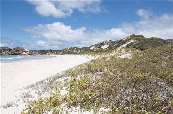 Nanarup Beach & Road (20/10/2015)