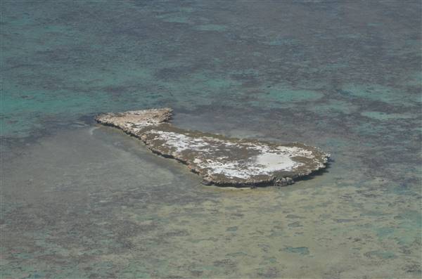 Abrolhos Islands - West Wallabi Island (15/12/2015 - Credits: Chris Veerhuis)