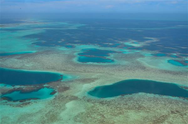 Abrolhos Islands - Pelsaert Island (15/12/2015)