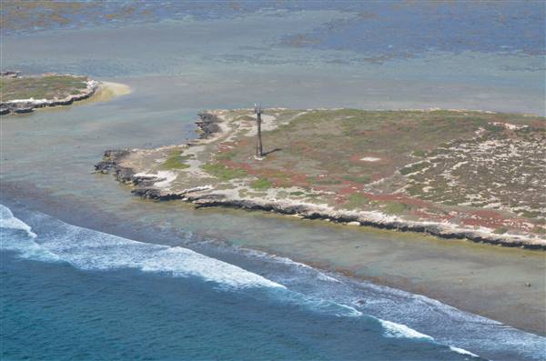Abrolhos Islands - Pelsaert Island (15/12/2015)