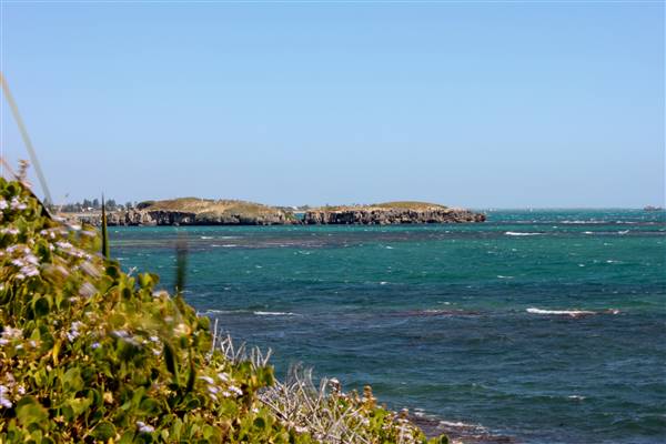 Cape Peron - Rockingham - from land (21/12/2015 - Credits: Chris Veerhuis)