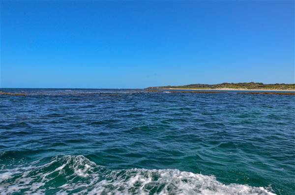 Garden Island - Ewing Bay (22/12/2015 - Credits: Chris Veerhuis)