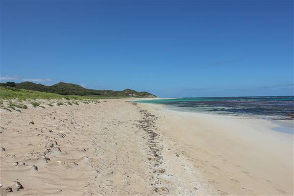 Garden Island - Gilbert Point - from land (22/12/2015 - Credits: Chris Veerhuis)