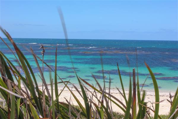 Garden Island - Gilbert Point - from land (22/12/2015 - Credits: Chris Veerhuis)