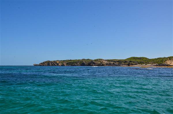 Garden Island - Collins Point - from water (22/12/2015 - Credits: Chris Veerhuis)