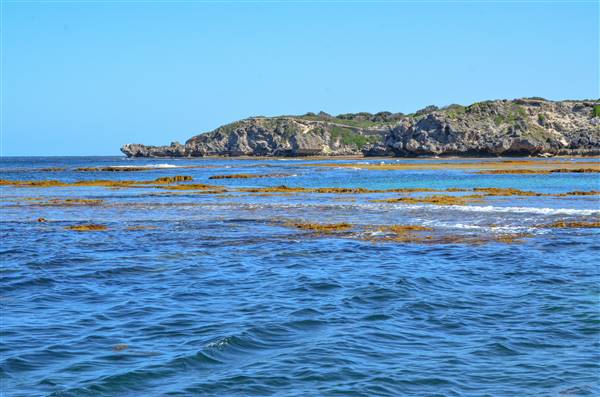 Garden Island - Point Atwick - North and South Bay from Water (22/12/2015 - Credits: Chris Veerhuis)