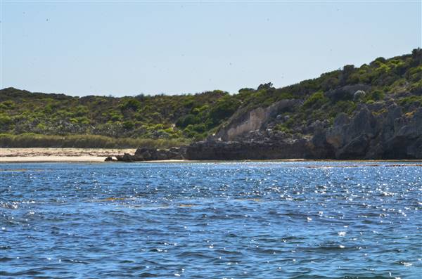 Garden Island - Calista Point - from water (22/12/2015 - Credits: Chris Veerhuis)
