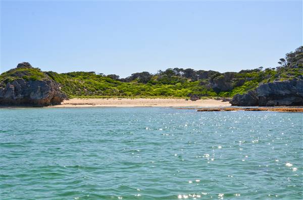 Garden Island - Calista Point - from water (22/12/2015 - Credits: Chris Veerhuis)