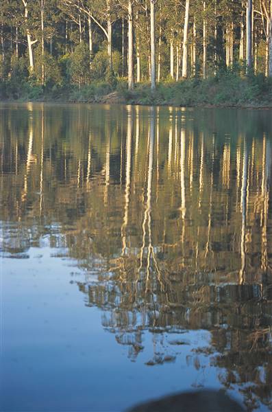 Pemberton - Big Brook Dam (7/07/2016 - Credits: Tourism WA)