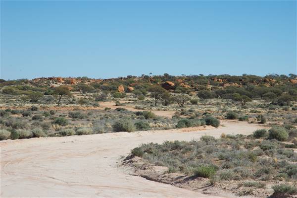 Mount Magnet landscapes (7/07/2016 - Credits: Tim Burns)