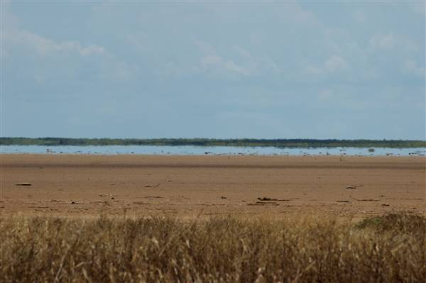 Derby - Mud Flats (12/07/2016 - Credits: Tim Burns)