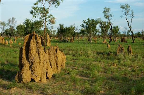 Derby - Landscapes - Road to Broome (14/07/2016 - Credits: Tim Burns)