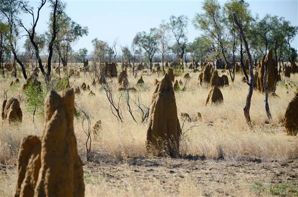 Derby - road from Broome to Derby (22/09/2016 - Credits: Chris Veerhuis)