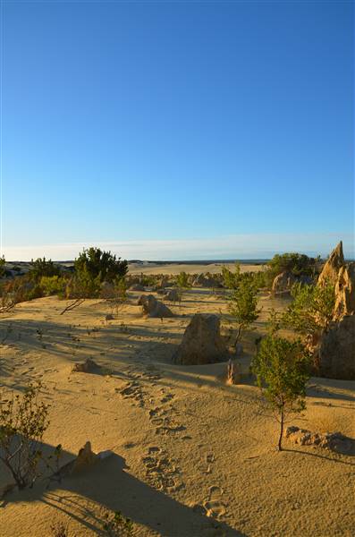Pinnacles - Nambung National Park (27/06/2016 - Credits: Chris Veerhuis)