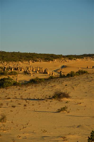 Pinnacles - Nambung National Park (27/06/2016 - Credits: Chris Veerhuis)