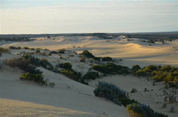 Pinnacles - Nambung National Park (27/06/2016 - Credits: Chris Veerhuis)