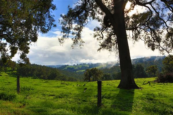 Ferguson Valley (12/10/2016 - Credits: David Garlick - Film in SW)