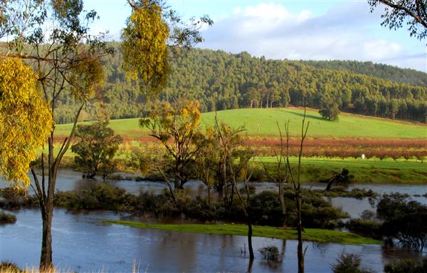 Nannup (12/10/2016 - Credits: Film South West)