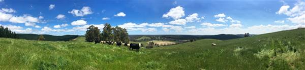 Nannup - Xmas Brook Farm (3/05/2017 - Credits: Kerrie Dunnet)