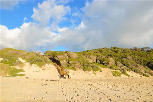 Injidup Beach & Cape Clairault (7/06/2017 - Credits: Duncan Jones)