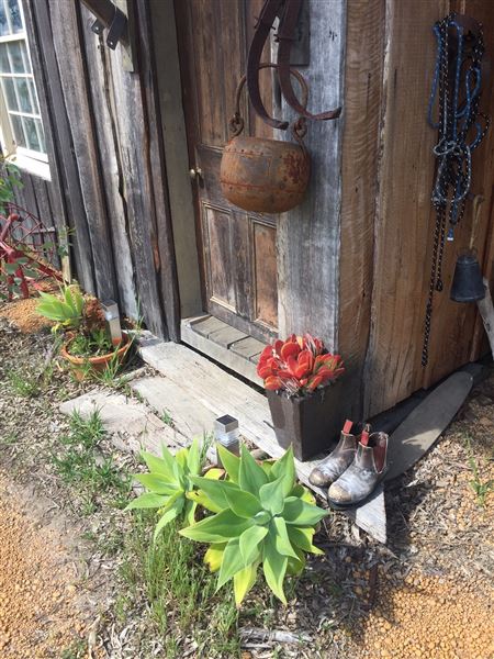 Old Farm Shack - The location has green grass in winter and dry brown grass in summer (1/07/2019 - Credits: Property Owner)