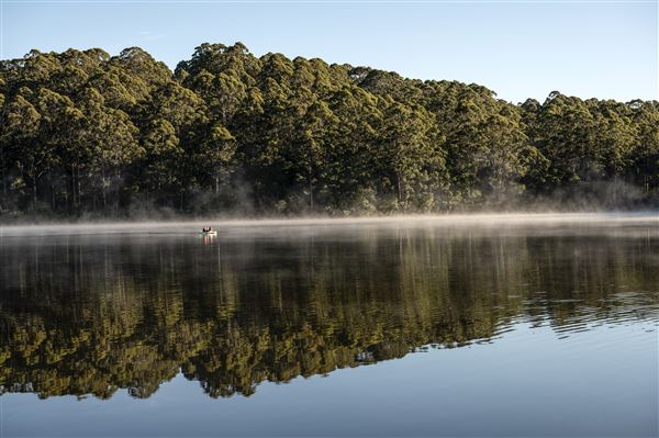 RAC Karri Valley Resort - Karri Valley Resort (1/09/2020 - Credits: Tourism Western Australia)