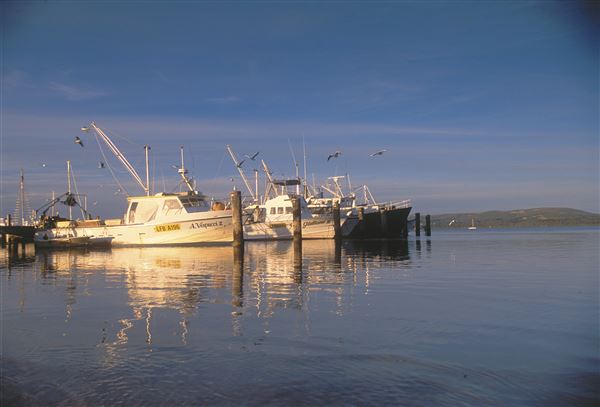 Albany - Emu Point (1/11/2020 - Credits: Google Search. Images may be subject to Copyright)