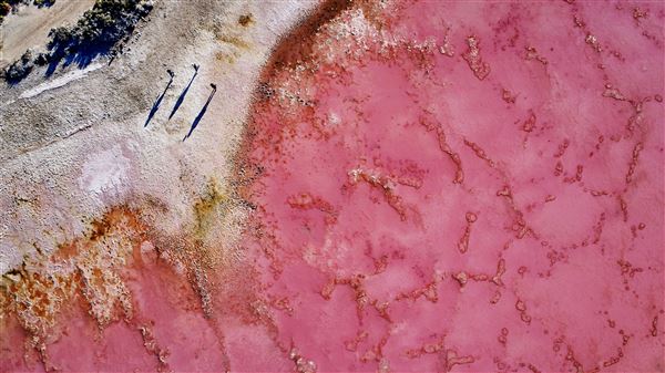 Pink Lake - Hutt Lagoon (27/11/2020 - Credits: Tourism Western Australia)