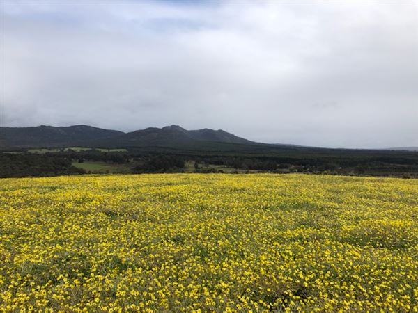 Craigendarroch, Porongurup (2/11/2021 - Credits: CMMS ELPS)