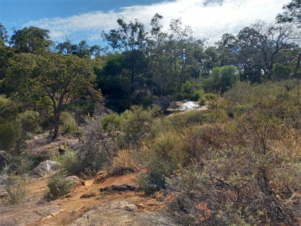 Lesmurdie Falls (2/07/2022 - Credits: Rachael Hawkins)