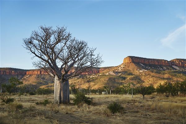El Questro - Cockburn Range, Kimberley (11/10/2022 - Credits: Tourism Western Australia)