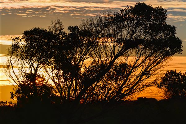 Esperance (3/04/2023 - Credits: Ian Brodie)