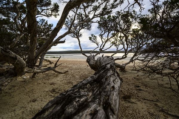 Hopetoun (12/05/2021 - Credits: Ian Brodie)