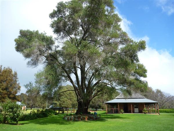 Wonnerup House (16/09/2013 - Credits: The National Trust of Australia)