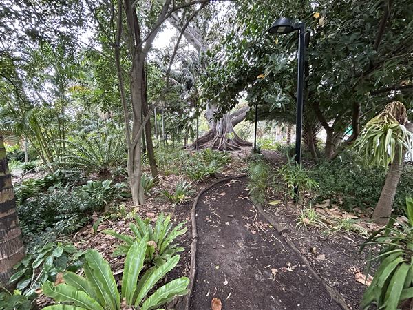 Supreme Court Gardens (18/10/2023 - Credits: Shea Walsh)