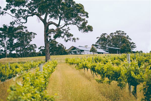 Denmark (8/01/2024 - Credits: Tourism Western Australia)