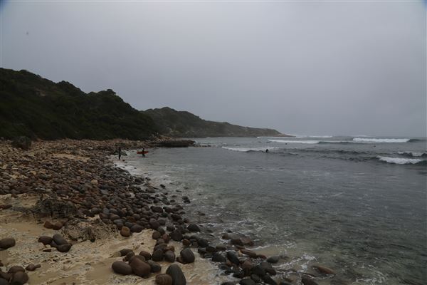 Gracetown (6/06/2023 - Credits: Aidan O'Bryan)