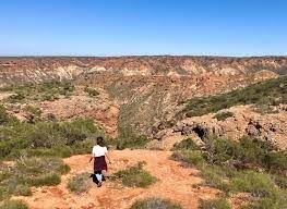 Bullara Station (5/04/2024)