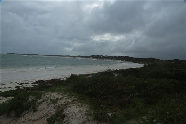 Hangover Bay (6/06/2023 - Credits: Aidan O'Bryan)