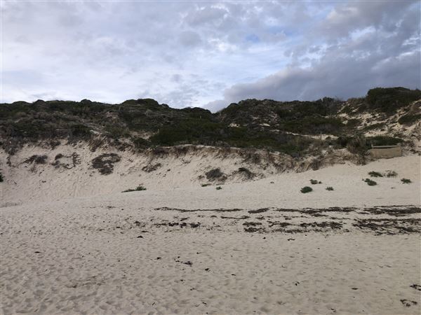 Claytons Beach (6/06/2023 - Credits: Aidan O'Bryan)