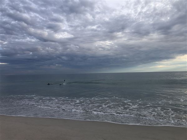 Claytons Beach (6/06/2023 - Credits: Aidan O'Bryan)