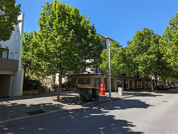 East Perth- Streets (4/10/2023 - Credits: Shea Walsh)
