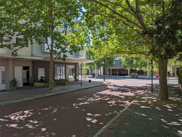 East Perth- Streets (4/10/2023 - Credits: Shea Walsh)