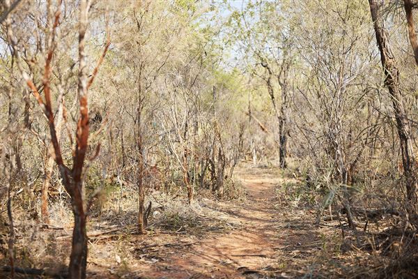 Derby (15/06/2023 - Credits: Shire of Derby/West Kimberley)