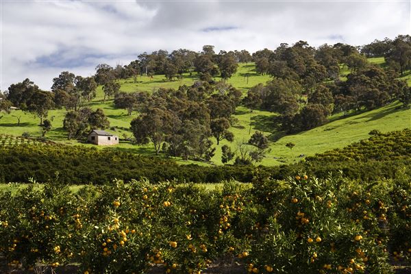 The Chittering Valley (14/06/2024 - Credits: Tourism Western Australia)