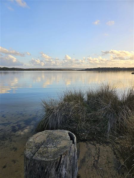 Hardy Inlet, Augusta (23/07/2024)