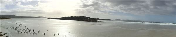 Wilson Inlet (inc.Boat Landing), Denmark (23/07/2024)