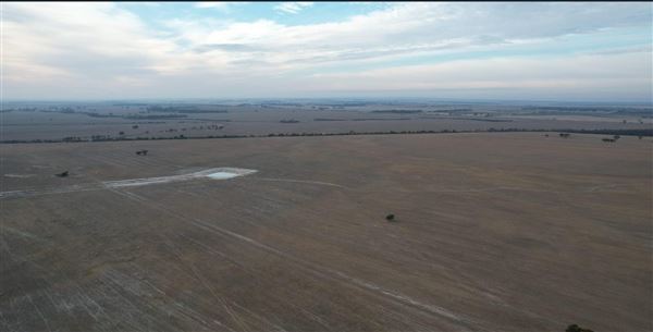 Wheatbelt Region (20/09/2024)