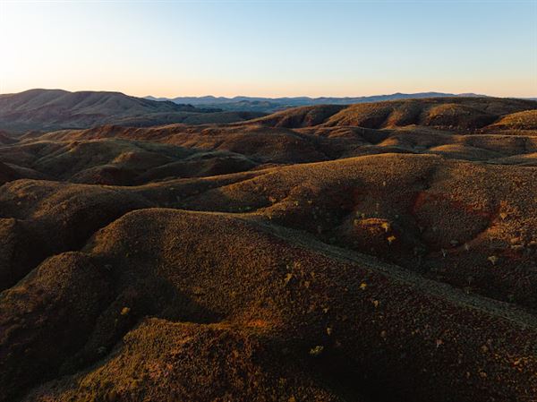 Cheela Plains Station (23/10/2024)