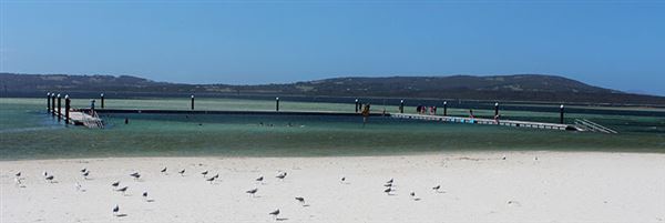 Albany - Emu Point (13/11/2024)